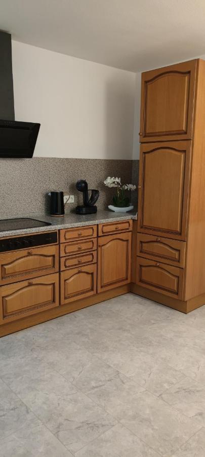 Schoene Und Optimal Gelegene Wohnung Og Weisskirchen Kültér fotó